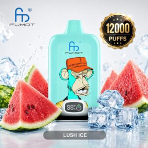 Fumot 12K puff bulk disposable vapes