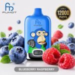 Fumot 12K puffs bulk disposable vapes