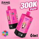 BANG LEADER STOLL 300K 300000 Puffs Rechargeable Vape