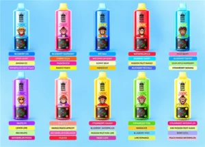 Bang Blaze 500K Puffs 15 In 1 Flavors LED Display