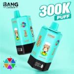 Bang Leader 300k Disposable Vape 6 in 1 Flavors