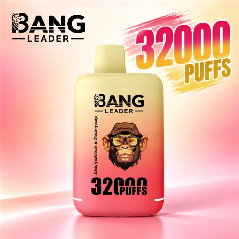 Bang Leader 32000 Puffs Double Flavor Disposables