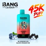 Bang Leader 45000 45K Puffs Double Flavor Vape