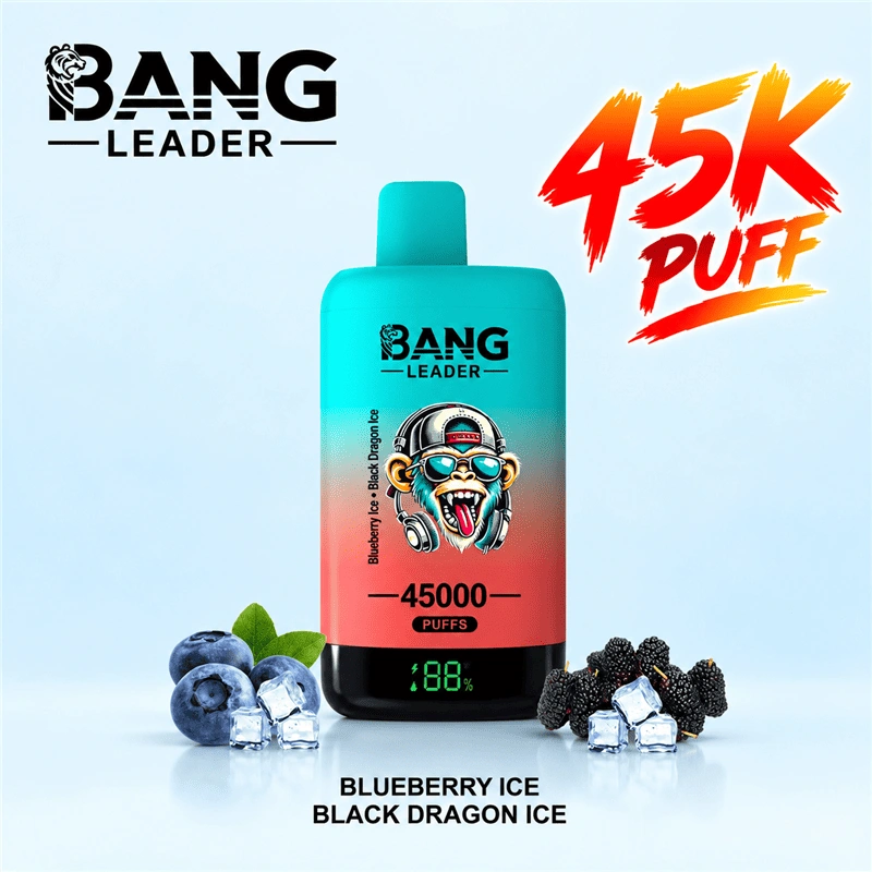 Bang Leader 45000 45K Puffs Double Flavor Vape