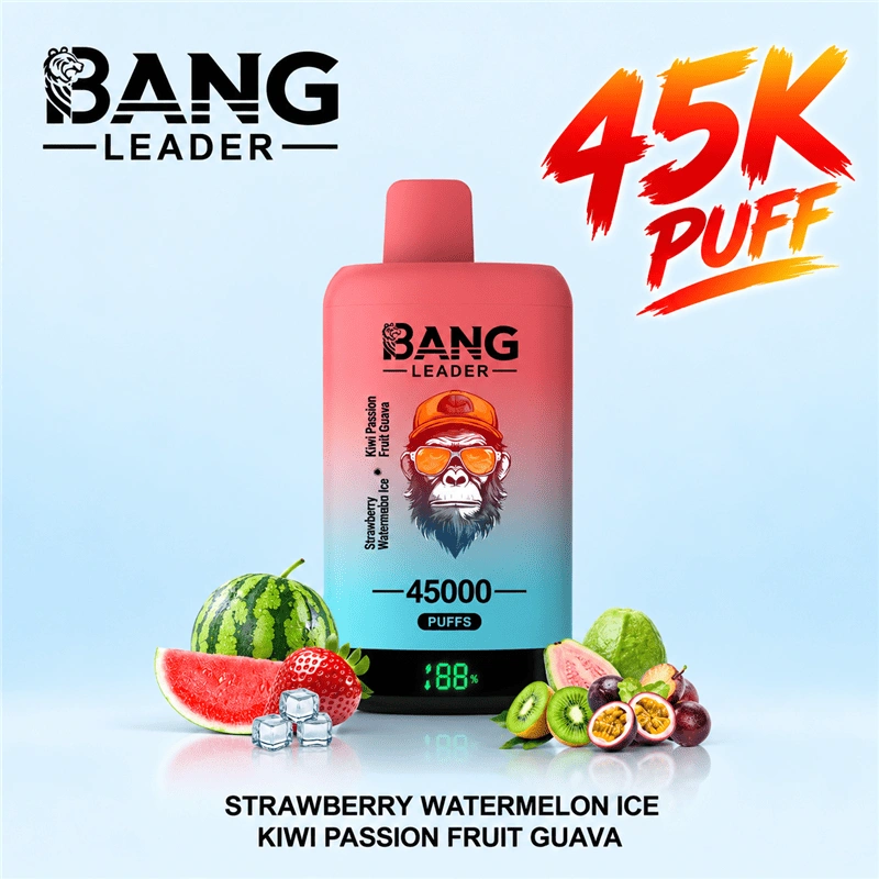 Bang Leader 45000 Puffs 45k Double Flavor Disposables Vape