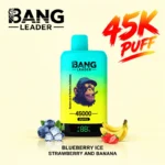 Bang Leader 45K Dual Flavors 2-in-1 Vape