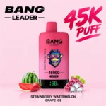 Bang Leader 45k Puffs Disposable Vape Wholesale