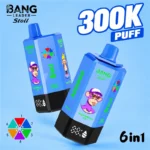 Bang Leader Stoll 300K Puffs Disposable Vape Wholesale