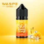WASPE Best Nicotine Salt E-Juices